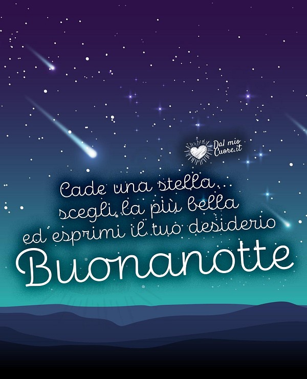 Cade una stella... scegli la più bella ed esprimi il tuo desiderio. Buonanotte