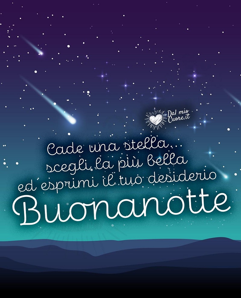 Cade una stella... scegli la più bella ed esprimi il tuo desiderio. Buonanotte