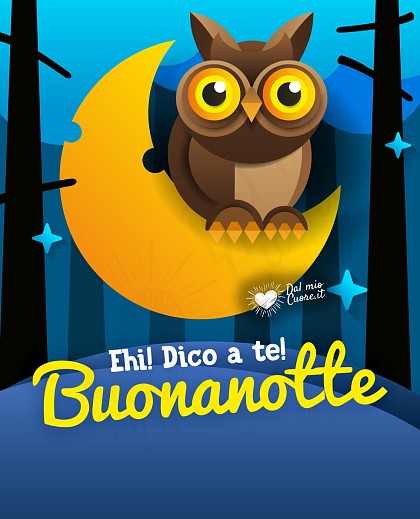 Ehi! Dico a te! Buonanotte