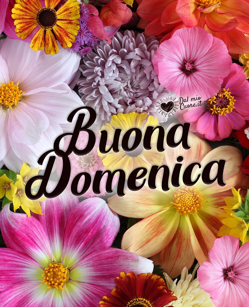 Buona Domenica (Immagini con fiori)