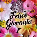 Buongiorno