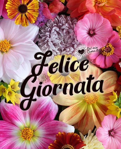 Felice Giornata (Immagini con fiori)