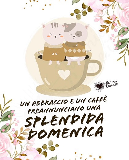 Un abbraccio e un caffè preannunciano una Splendida domenica (imm con gattini e fiori)