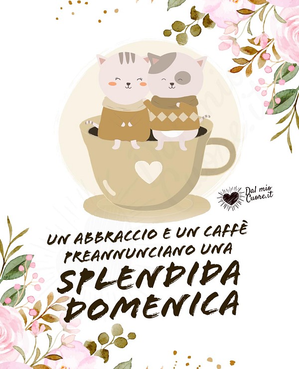Un abbraccio e un caffè preannunciano una Splendida domenica (imm con gattini e fiori)