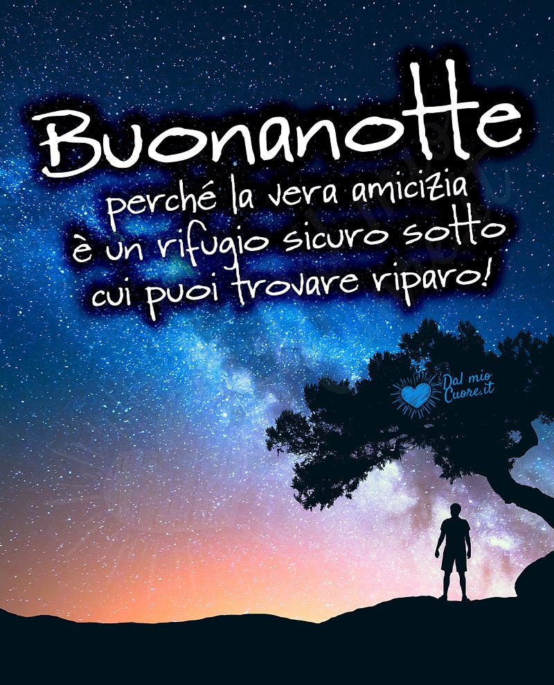 Buonanotte. Perché la vera amicizia è un rifugio sicuro sotto cui puoi trovare riparo!