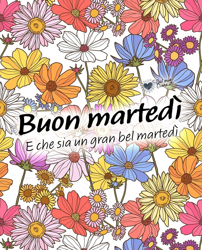 Buon martedì! E che sia un gran bel martedì!