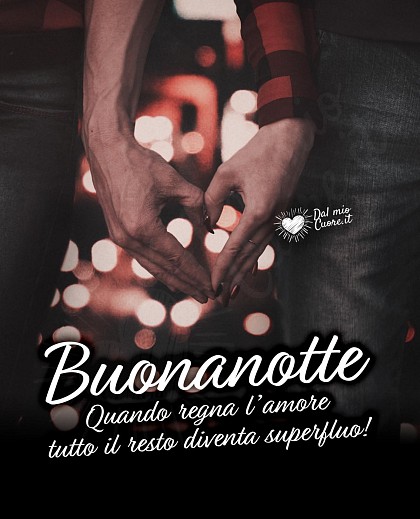 Quando regna l’amore tutto il resto diventa superfluo! Buonanotte (frasi e immagini)