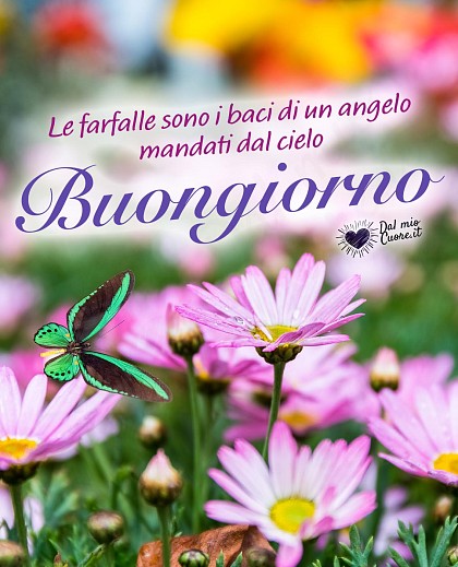 Le farfalle sono i baci di un angelo mandati dal cielo. Buongiorno (Frasi)