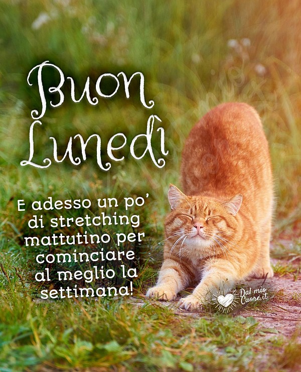 Buon Lunedì. Adesso un po’ di stretching mattutino per cominciare al meglio la settimana!