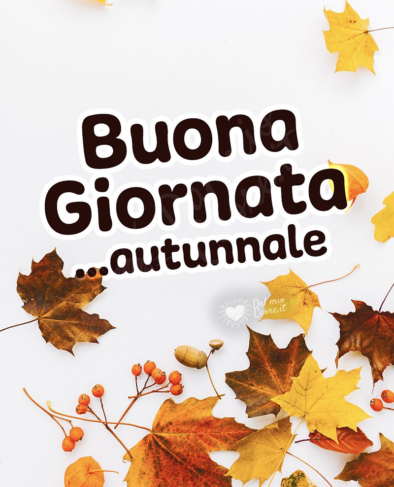 Buona giornata... autunnale