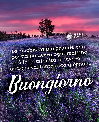 Ogni mattina possiamo vivere una nuova, fantastica giornata. Buongiorno (Frasi)