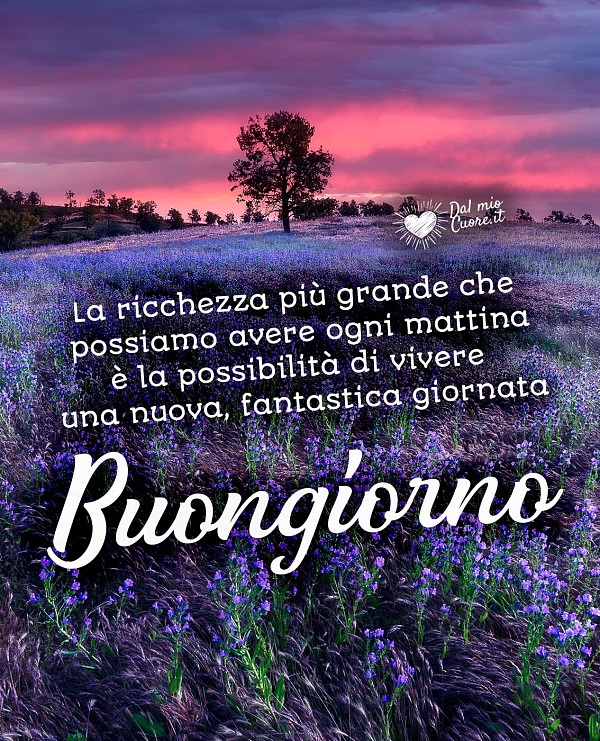 Ogni mattina possiamo vivere una nuova, fantastica giornata. Buongiorno (Frasi)