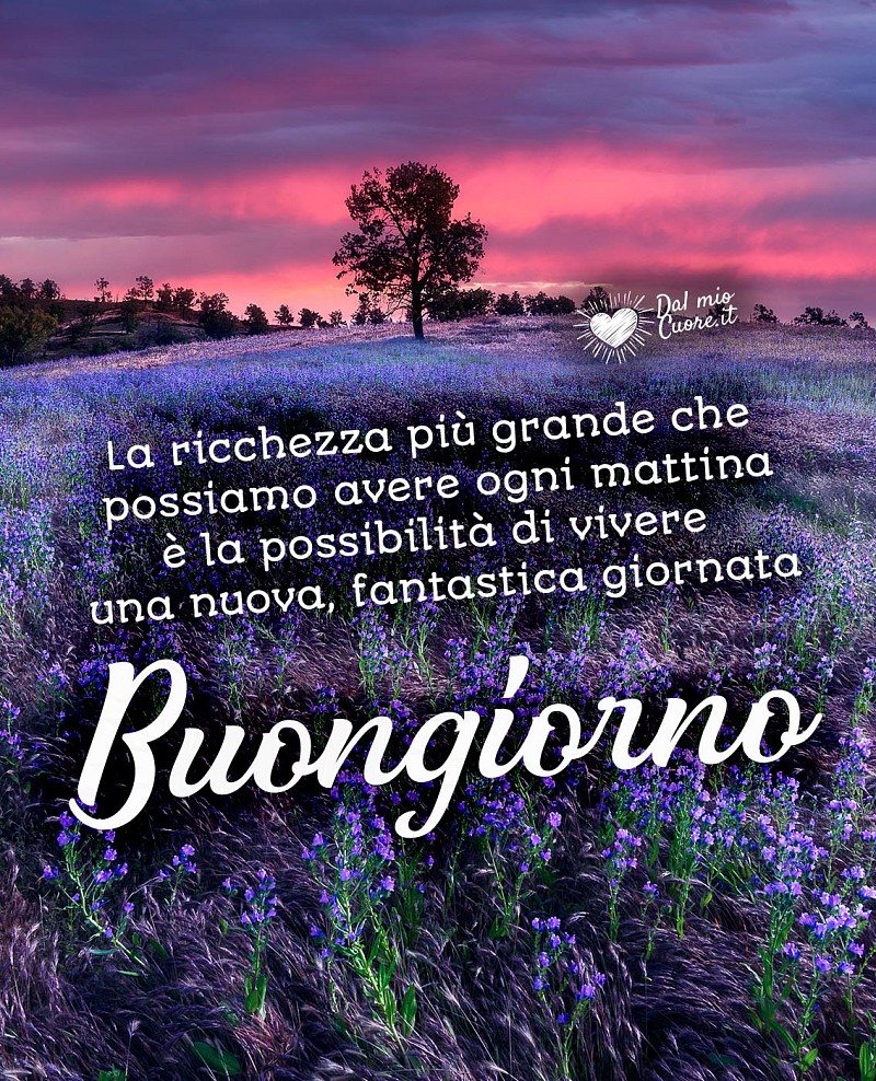 Ogni mattina possiamo vivere una nuova, fantastica giornata. Buongiorno (Frasi)
