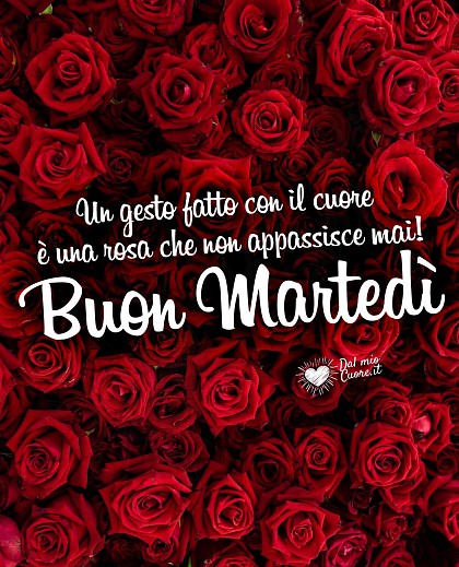 Un gesto fatto con il cuore è una rosa che non appassisce mai! Buon Martedì