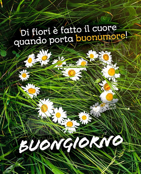 Di fiori è fatto il cuore quando porta buonumore! Buongiorno Frasi