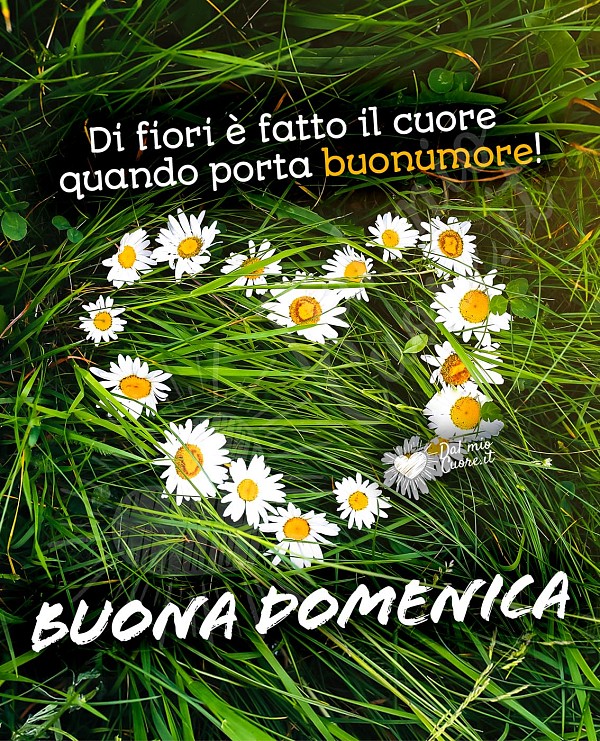 Di fiori è fatto il cuore quando porta buonumore! Buona Domenica Frasi