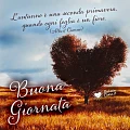 Buongiorno