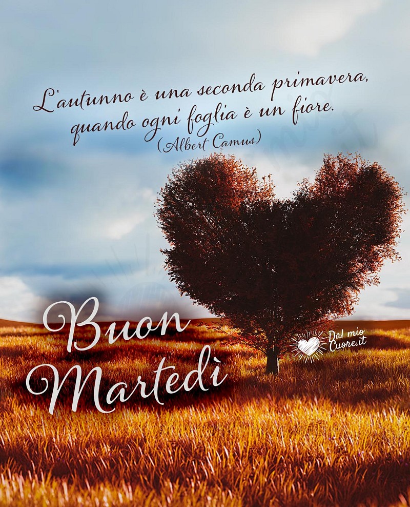 Buon Martedì. L'autunno è una seconda primavera, quando ogni foglia è un fiore.