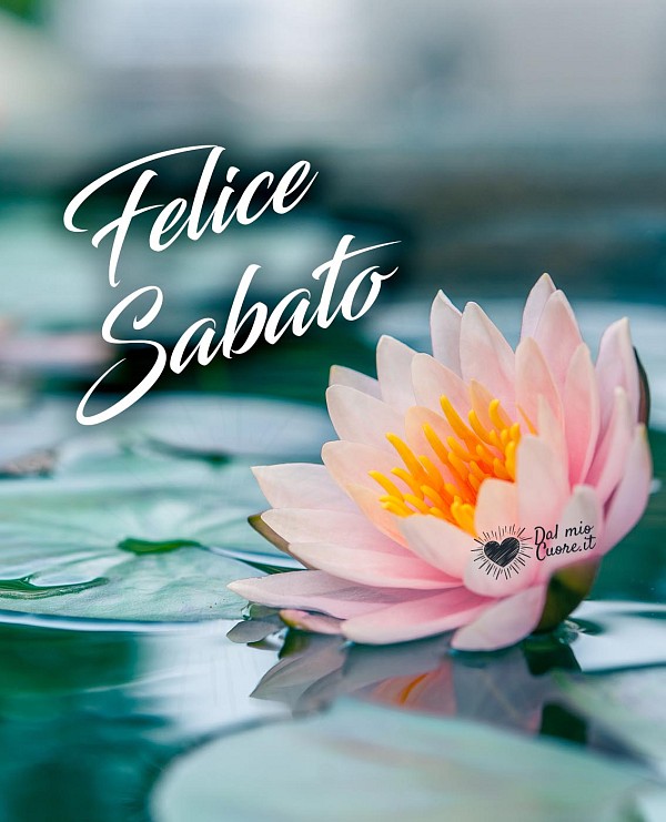 Felice Sabato (Immagini con fiori)