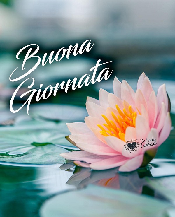 Buona Giornata (Immagini con fiori)