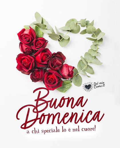 Buona Domenica a chi speciale lo è nel cuore!