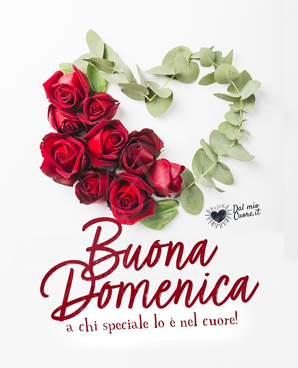 Buona Domenica a chi speciale lo è nel cuore!