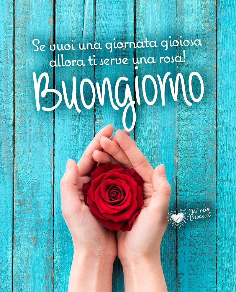 Buongiorno Floreale con Rosa: Un fiore speciale per una giornata gioiosa