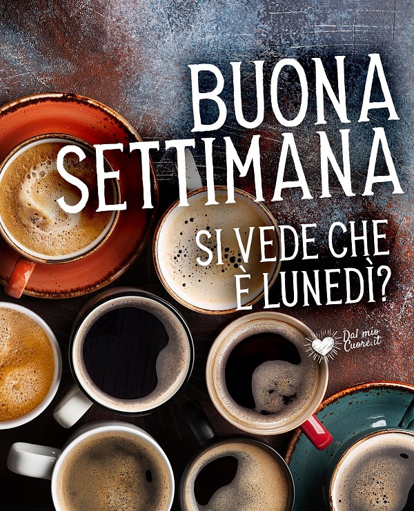 Buona Settimana. Si vede che è lunedì? (Divertente)