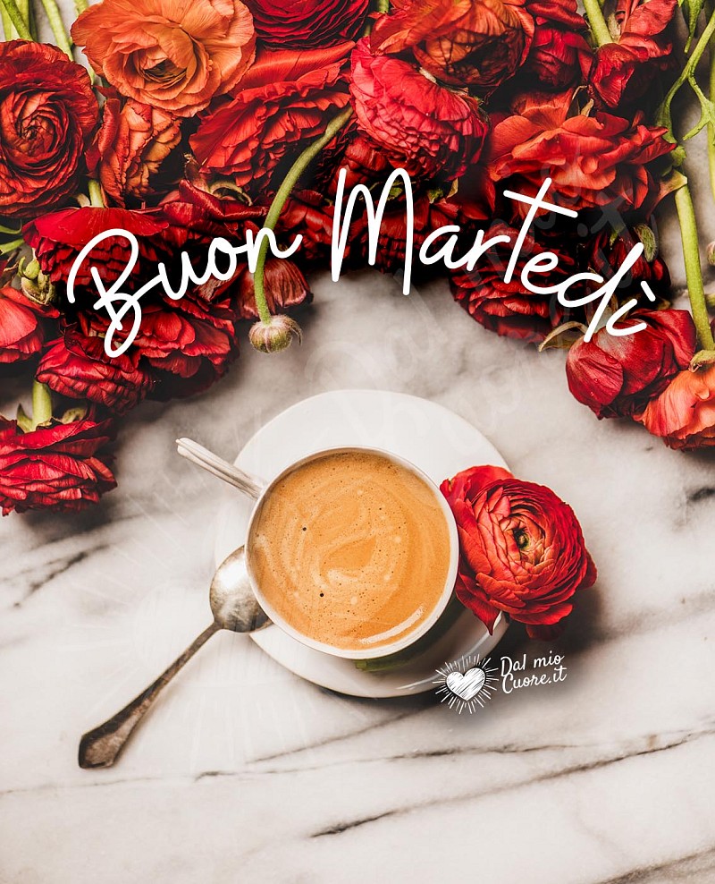 Immagini Buon martedì con caffè e fiori rossi