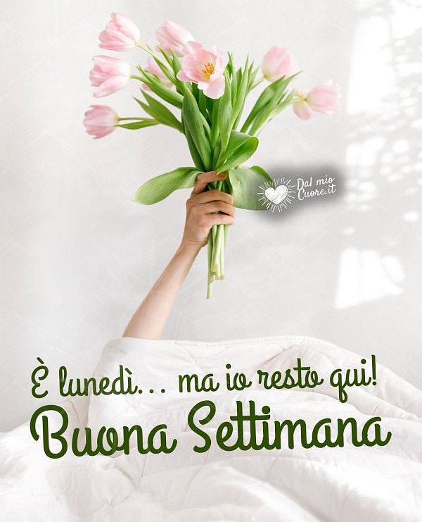 È lunedì... ma io resto qui! Buona settimana