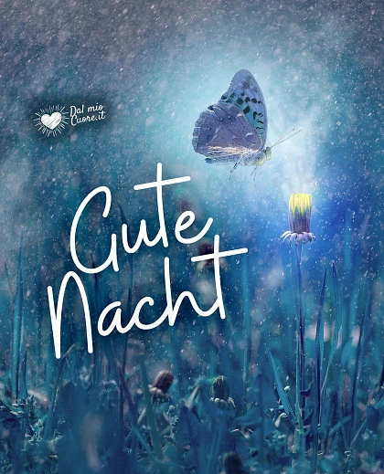Gute Nacht Bild mit Motte