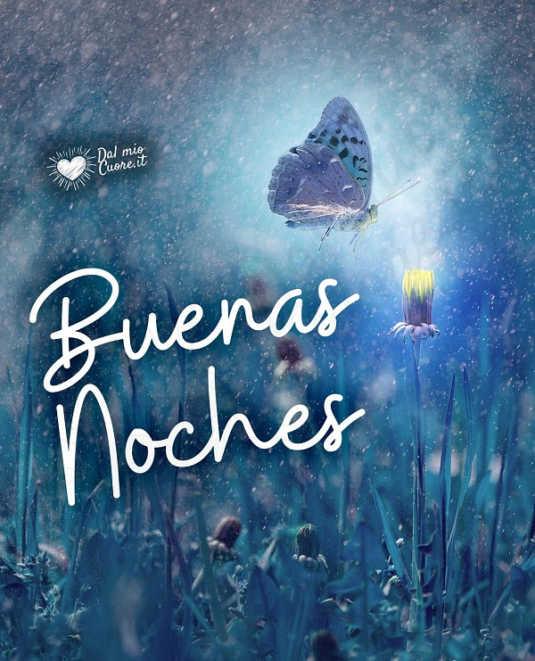 Foto de buenas noches con polilla