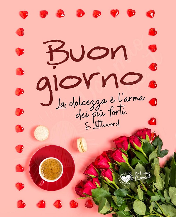 Buon giorno. La dolcezza è l'arma dei più forti
