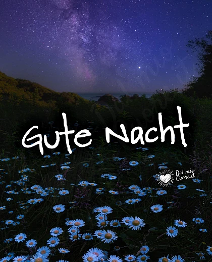 Gute Nacht mit Blumen und einem Sternenhimmel