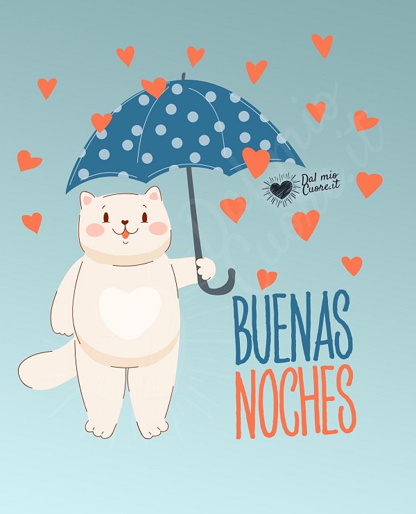 Buenas noches. Imagen con gatito