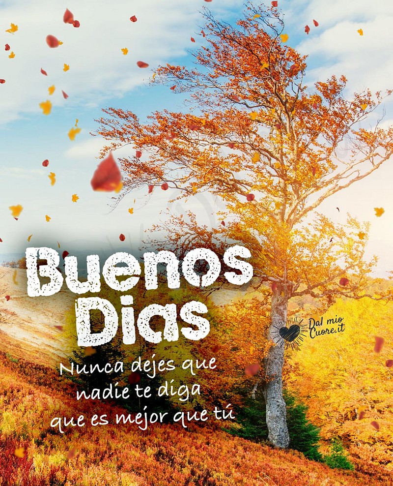 Buenos dias. Nunca dejes que nadie te diga que es mejor que tú