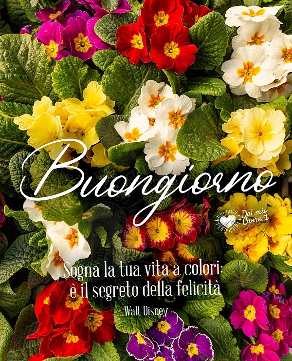 Buongiorno. Sogna la tua vita a colori: è il segreto della felicità