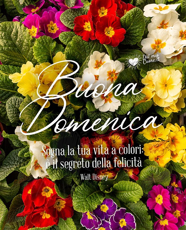 Buona Domenica con fiori e frase sulla felicità