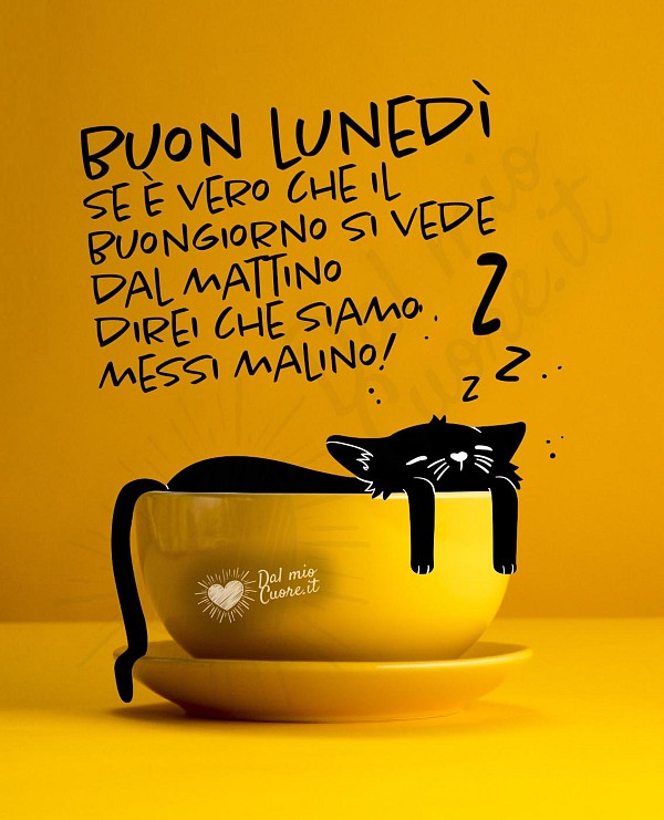 Buon lunedì simpatico con gattino addormentato nella tazzina di caffè