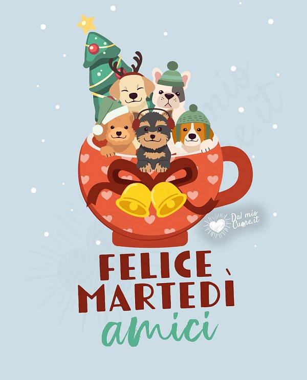 Felice Martedì amici