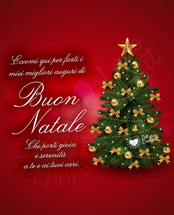 Eccomi qui per farti i miei migliori auguri di Buon Natale. Che porti gioia e serenità a te e ai tuoi cari