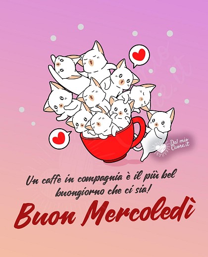 Buon mercoledì con gattini in una tazzina di caffè e frase