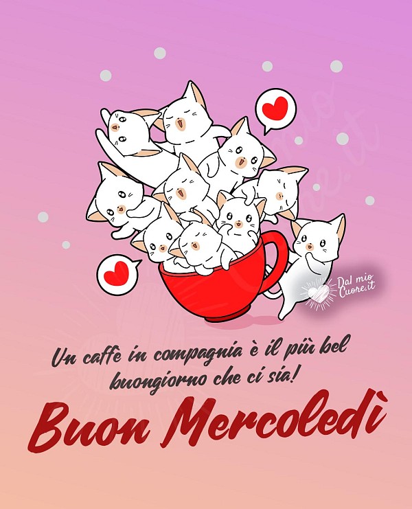 Buon mercoledì con gattini in una tazzina di caffè e frase