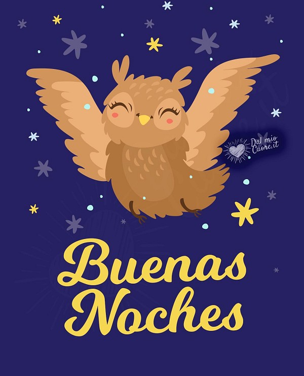 Buenas noches con búho