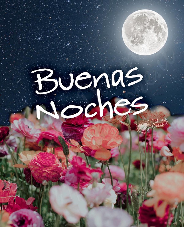 Buenas noches con flores