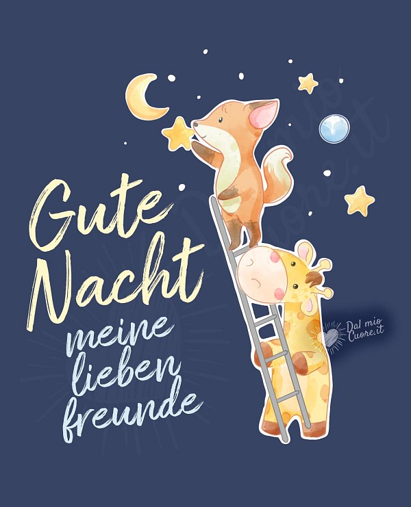 Gute Nacht meine lieben freunde