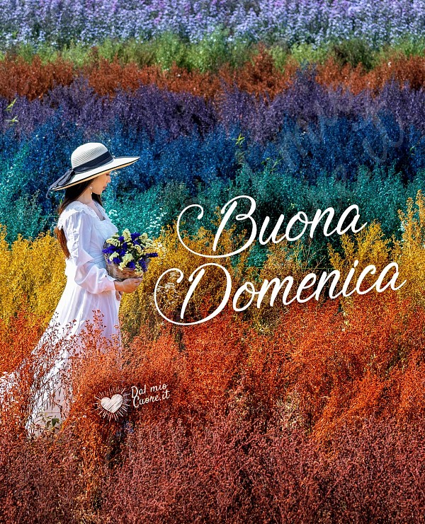 Imm Buona domenica con fiori e colori
