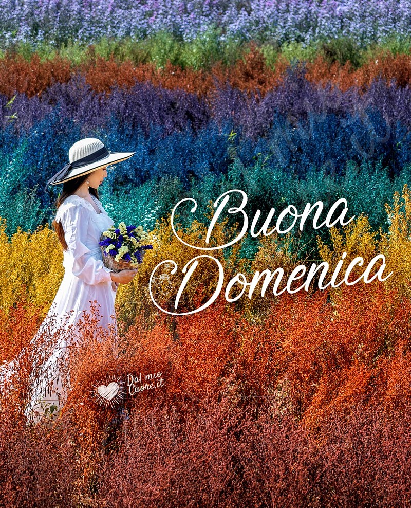 Imm Buona domenica con fiori e colori