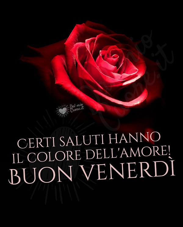 Buon venerdì Romantico con rosa e frase
