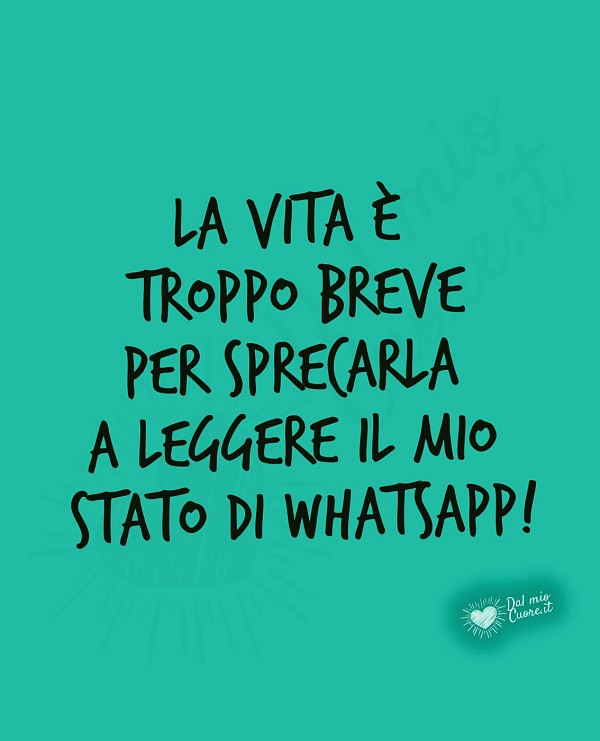 La vita è troppo breve per sprecarla a leggere il mio stato di whatsapp!